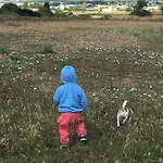 בקתה Casa Rural-granja קוניל דה לה פרונטרה