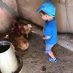 Casa Rural-granja * קוניל דה לה פרונטרה