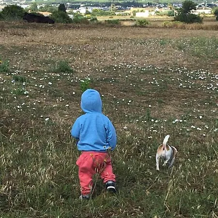 Chalet Casa Rural-granja Conil De La Frontera