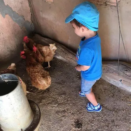 Casa Rural-granja * Conil De La Frontera