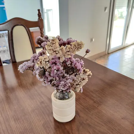 Casa Rural-granja Chalet *