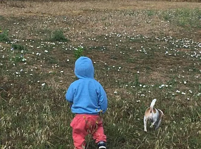 Chalet Casa Rural-granja Conil De La Frontera