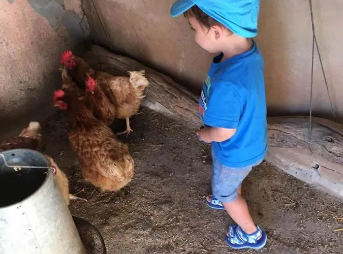 Casa Rural-granja * Conil De La Frontera